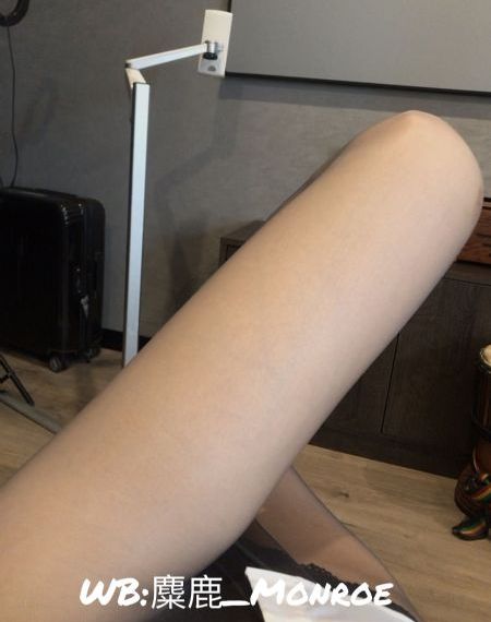 免费看动漫的网站