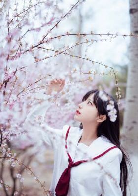 风再起时